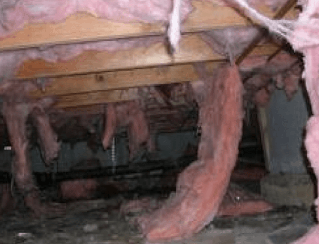 Old, settled insulation exposed between joists before vacuum removal